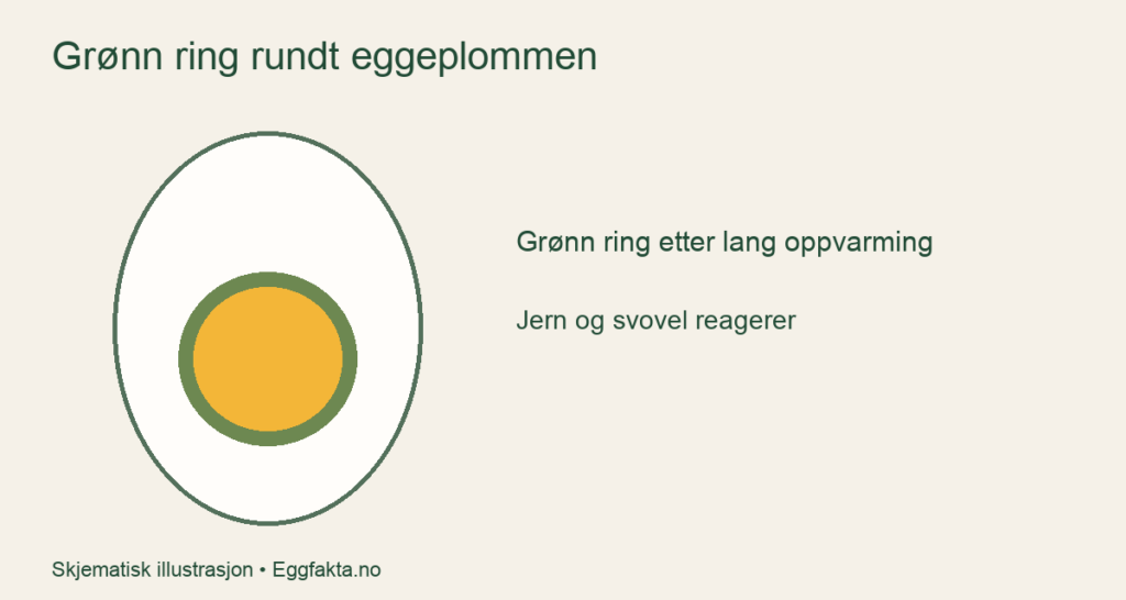 Hardkokt egg med grønn ring rundt plommen